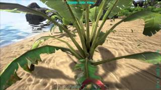 Ark Survival evolved Recoger fibra rápido  Metal Sickle ARK [upl. by Bertilla161]