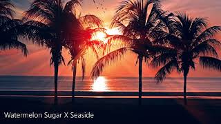 TikTok  Watermelon Sugar X Seaside  1 hour special [upl. by Oiluarb]