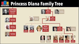 Princess Diana amp Winston Churchill Family Tree [upl. by Haraf]