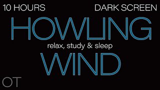 HOWLING WIND Sounds for Sleeping Relaxing Studying BLACK SCREEN Real Storm Sounds 10 HOURS [upl. by Gelasius]