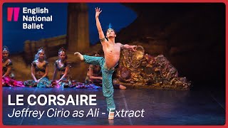 Le Corsaire Jeffrey Cirio as Ali extract  English National Ballet [upl. by Ahsinnor74]