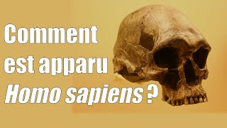 Comment est apparu Homo Sapiens [upl. by Galloway]