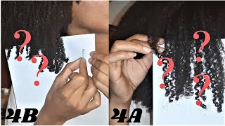 What does Type 4A  4B Natural Hair Look Like [upl. by Benedetto]