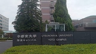 Utsunomiya University Online Visit 2023 [upl. by Ajssatan]